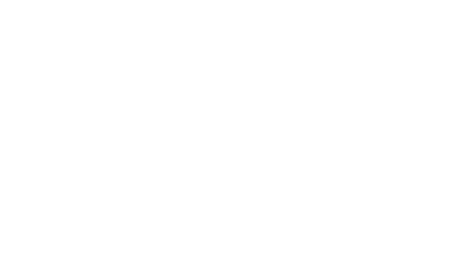 URSA Dynamics